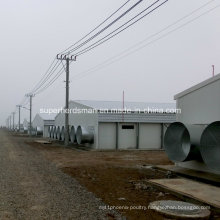 Steel Structure Chicken Farm Construction with Production Equipment